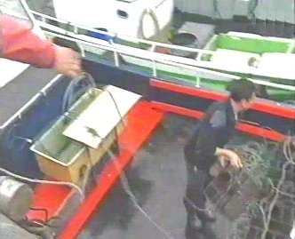 PESCA 11  GANADO